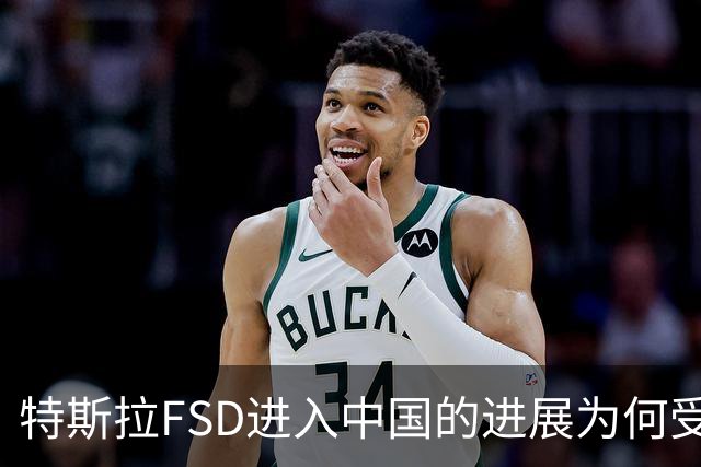 特斯拉FSD进入中国的进展为何受阻？